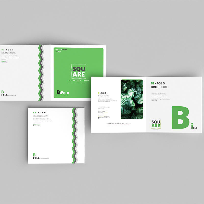 Custom Full Color Flyer Brochu - Commercial Printing Supplies Usa recension och pris